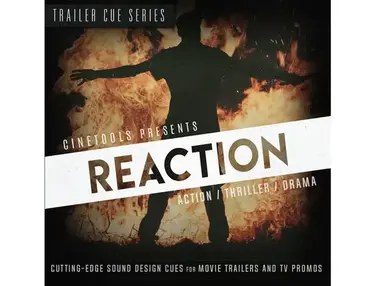 Cinetools Reaction