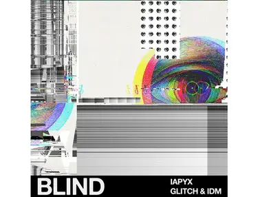 Blind Audio lapyx â IDM & Glitch