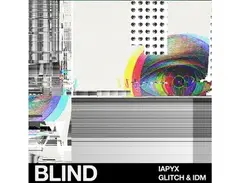 Blind Audio lapyx â IDM & Glitch main image