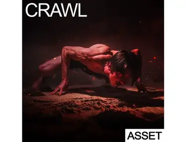 Industrial Strength Crawl - ASSET