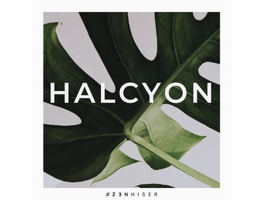 Zenhiser Halcyon
