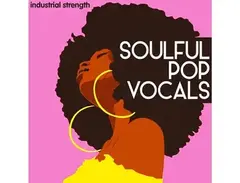 Industrial Strength Soulful Pop Vocals main image