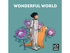 IQ Samples - Wonderful World main image