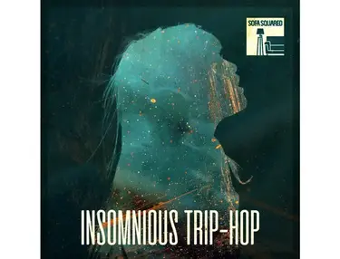Sofa Squared Insomnious Trip-Hop