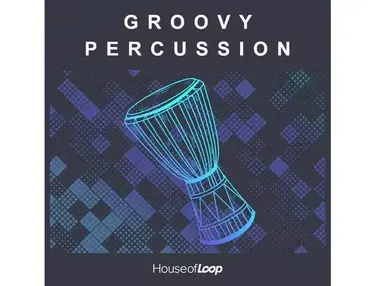 House Of Loop Groovy Percussion