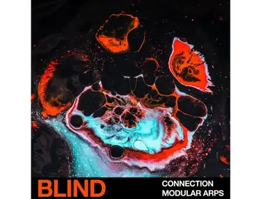 Blind Audio Connection - Modular Arps