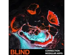 Blind Audio Connection - Modular Arps main image