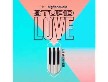 Big Fish Audio Stupid Love: Bedroom Pop Kits
