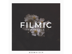 Zenhiser Filmic - Psytrance main image