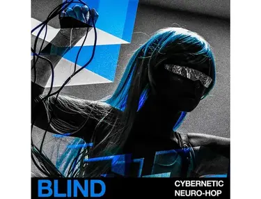 Blind Audio Cybernetic Neuro-Hop