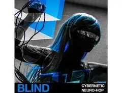 Blind Audio Cybernetic Neuro-Hop main image