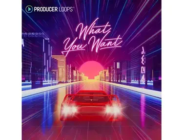 Producer Loops What You Want