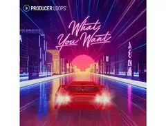 Producer Loops What You Want main image