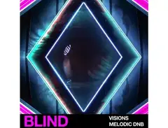 Blind Audio Visions - Melodic DNB main image
