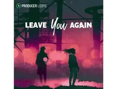 Producer Loops Leave You Again main image