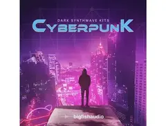 Big Fish Audio Cyberpunk: Dark Synthwave Kits main image