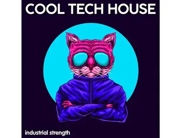 Industrial Strength Cool Tech House