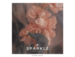 Zenhiser Sparkle - Drum & Bass main image