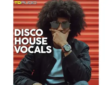 Industrial Strength TD Audio - Disco House Vocals