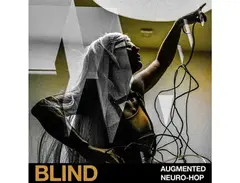 Blind Audio Augmented Neuro-Hop main image