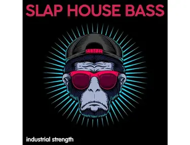 Industrial Strength Slap House Bass