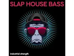 Industrial Strength Slap House Bass main image