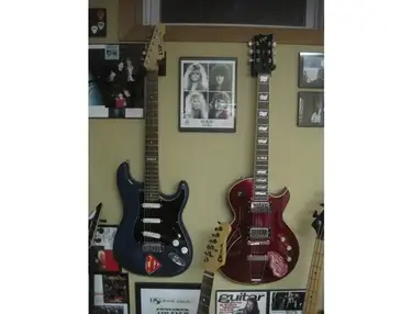 ESP Vintage Plus & ESP Eclipse