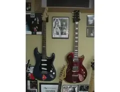 ESP Vintage Plus & ESP Eclipse
