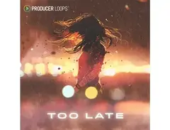Producer Loops Too Late main image