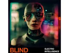 Blind Audio Electro Intelligence main image