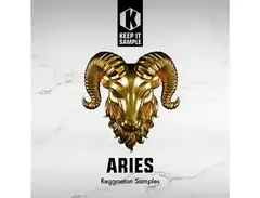 Keep It Sample Aries - Reggaeton Samples main image