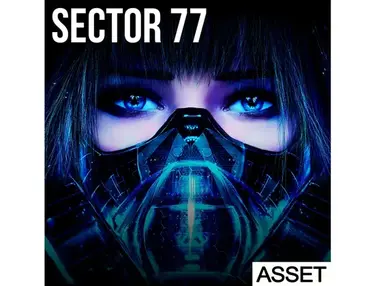 Industrial Strength Sector 77 - ASSET