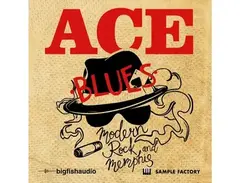 Big Fish Audio Ace: Modern Rock and Memphis Blues main image
