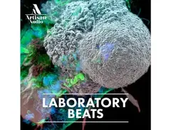 Artisan Audio Laboratory Beats main image