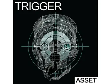 Industrial Strength Trigger - ASSET