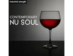 Industrial Strength Contemporary Nu Soul main image