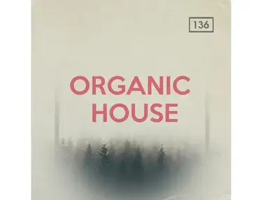 Bingoshakerz â Organic House