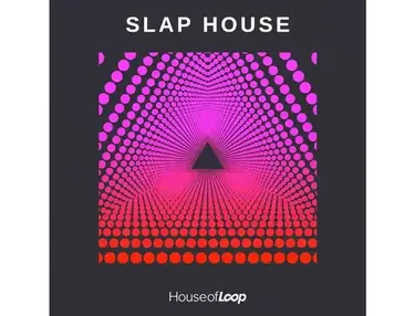 House Of Loop - Slap House