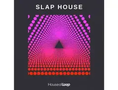 House Of Loop - Slap House main image