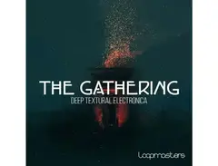 Loopmasters The Gathering - Deep Textural Electronica main image