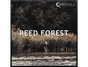 Cinetools Reed Forest