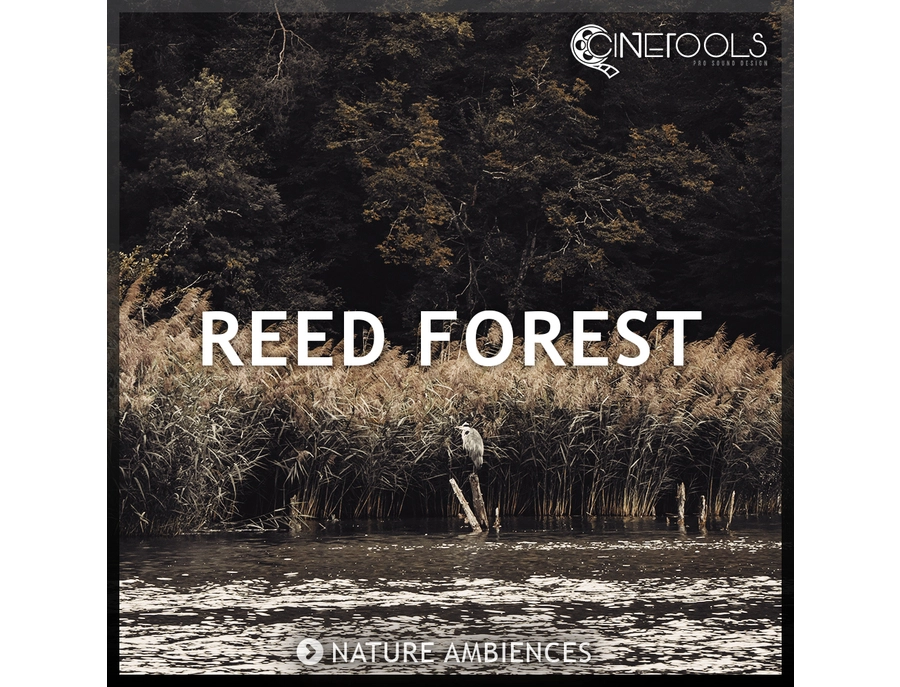 Forest Reed Barrow Cinetools Reed Forest - What To Know & Where To Buy | Equipboard