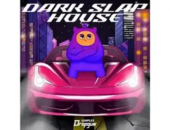 Dropgun Samples Dark Slap House main image