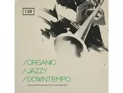 Bingoshakerz Organic Jazzy Downtempo main image