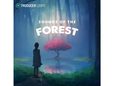 Producer Loops Sounds of the Forest