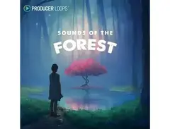 Producer Loops Sounds of the Forest main image