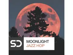 Sample Diggers Moonlight Jazz Hop main image