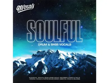 91Vocals Soulful Drum & Bass Vocals