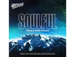 91Vocals Soulful Drum & Bass Vocals main image