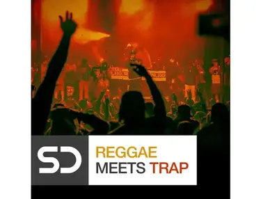 Sample Diggers Reggae Meets Trap